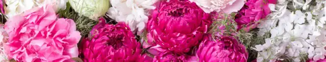 floral notes in perfumes