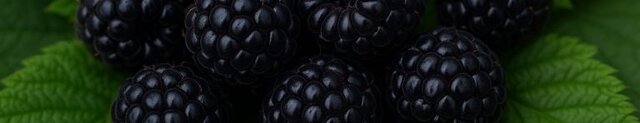 black raspberries in perfume