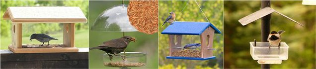 Bird feeder untuk burung pemakan serangga