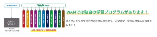 個別指導WAM【口コミ・評判・料金・夏期講習】の全貌を塾経験者が徹底解説