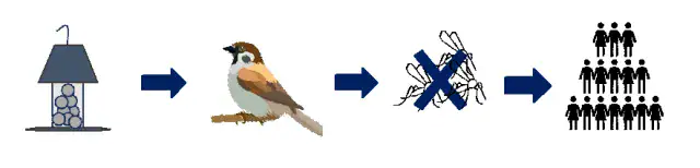 How to Prevent West Nile Virus in Birds