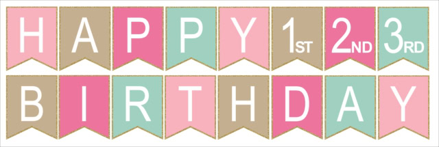 HB-BANNER_pinkmint-05