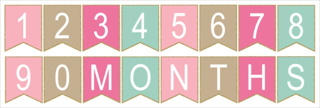 HB-BANNER_pinkmint-number-05