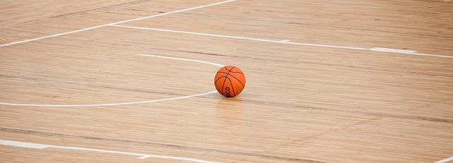 Basket - 2 tarbaises en équipe de France