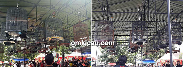 Lomba burung berkicau Piala Danki di Jogja