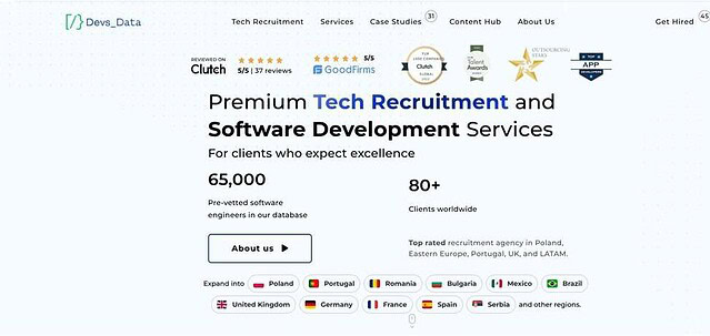 DevsData LLC website screenshot
