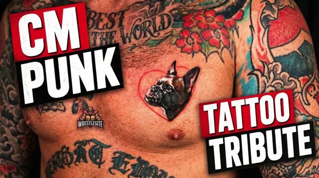 CM Punk Honors Late Dog Larry With New Tattoo
