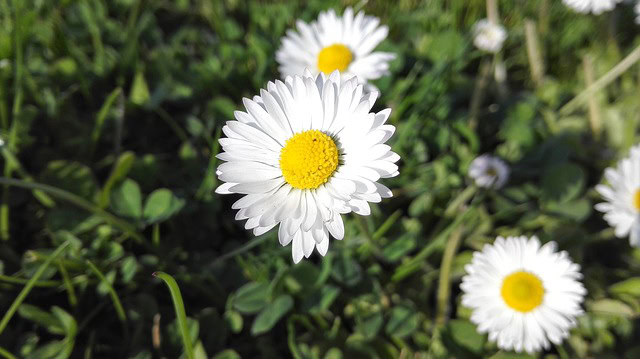 Météo Tarbes. averses, soleil et 9 degrés jeudi après midi