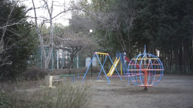 AUTO mamiya/sekor 50mm f2後期型 作例 滲み 公園の遊具