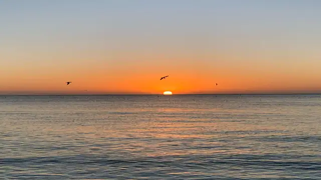 puerto morelos