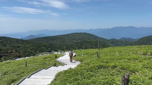 東大台ケ原完全クリアコース逆回り、とうとう正木峠、果てしなく続く木道の階段をのぼり続ける。  写真じゃ伝わりにくいですが、これがなかなかの試練でした。  しかし休憩しながら見る景色は、ぐるっと360度、正木ヶ原立ち枯れしたトウヒが並ぶ、大台ヶ原らしい幻想的な風景です。  この先には日出ヶ岳の展望台が待っています。もう少し、頑張ります。  ▶︎詳しいコースレポートはブログ「旅のトビラ☆リタイヤ～ず」で公開中です。プロフィールのリンクからどうぞ。  #大台ヶ原 #正木峠 #東大台ヶ原 #奈良県 #元気充電旅