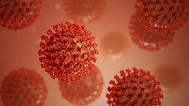 Coronavirus, le nombre de malades augmente dans les hôpitaux des Hautes Pyrénées