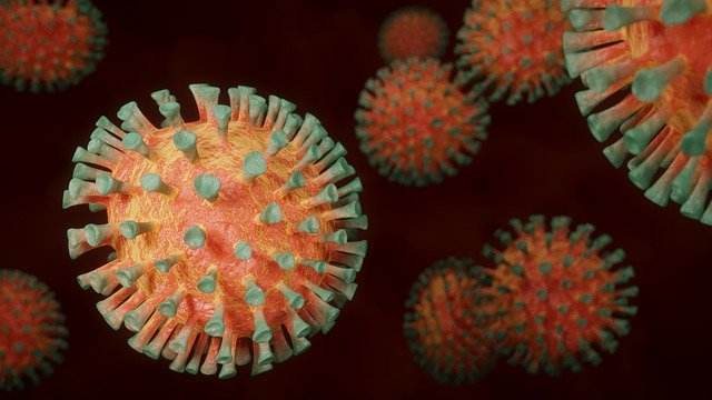 Variants du Coronavirus. inquiétude sur l'efficacité des vaccins actuels