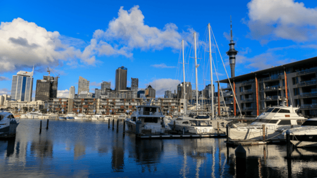 Wynyard Quarter waterfront dining precinct in Auckland