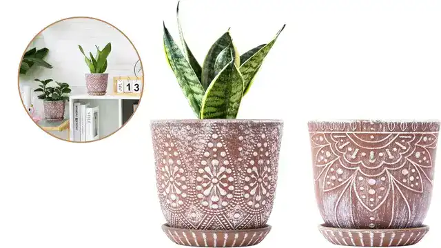 Matte Ceramic Pot with Drainage Tray