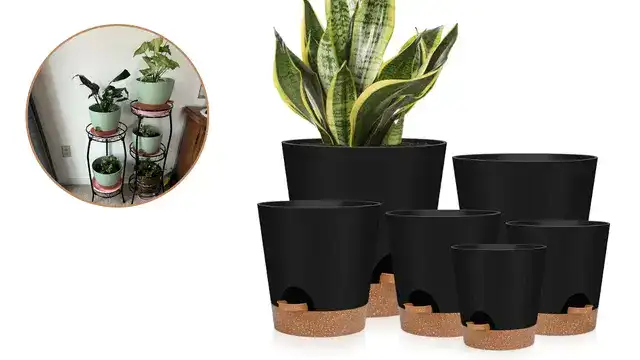 Self-Watering Pot with Reservoir
