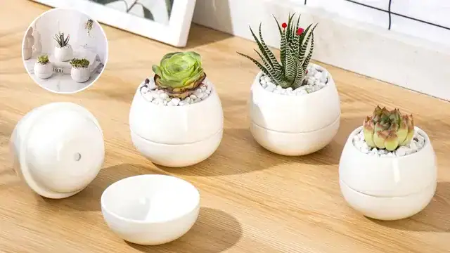 Small Ceramic Pot Set (3-Pack)