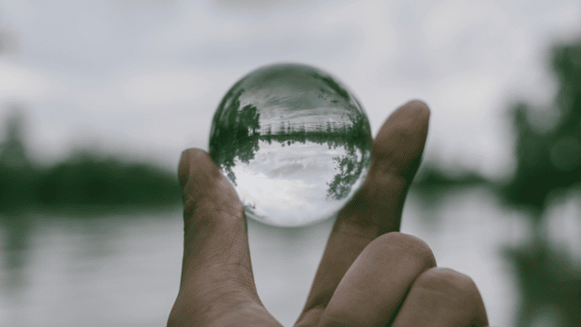 Transparency