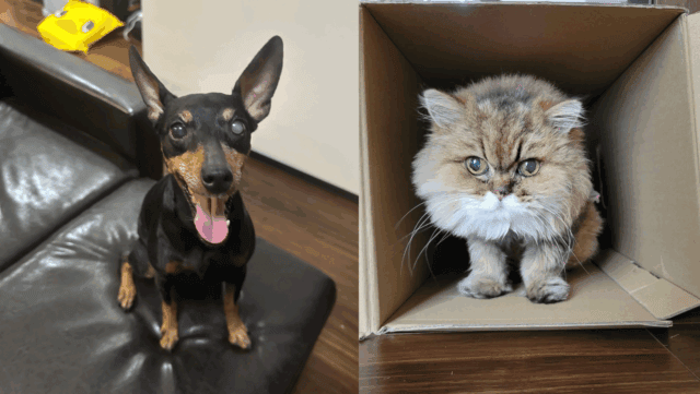 急なお話でしたがご尽力頂き本当にありがとうございました！