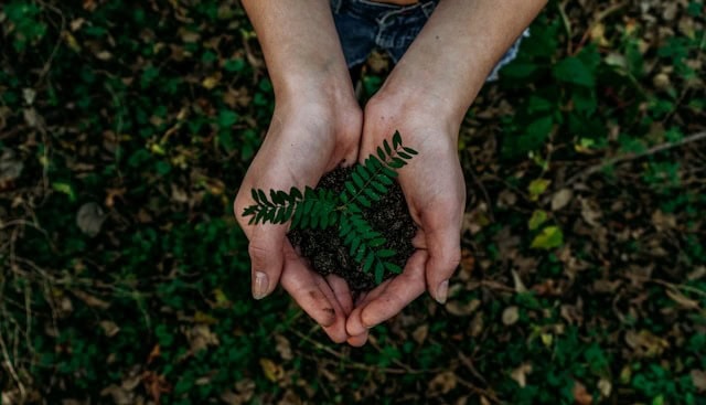 uomo che cura la natura a rappresentare l'obiettivo della riforma dei reati ambientali