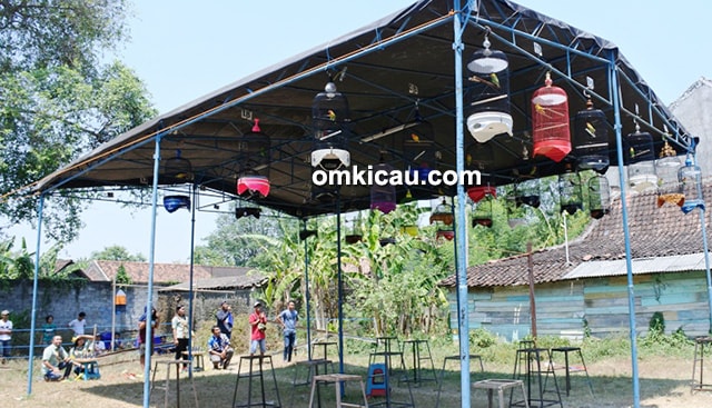 Ultah Ke-13 Okky Firmansyah Latpres Ultah Ke-13 Okky Firmansyah