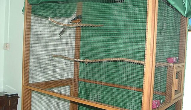 Burung murai di kandang aviary