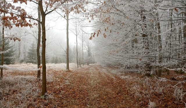 Des flocons de neige toute la journée ce vendredi à Tarbes