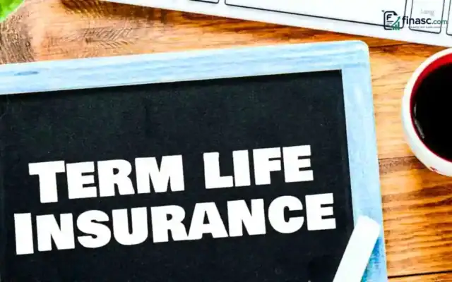 Term Life Insurance
