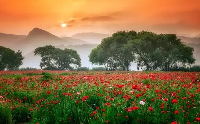 Wat is spiritualiteit met gedicht