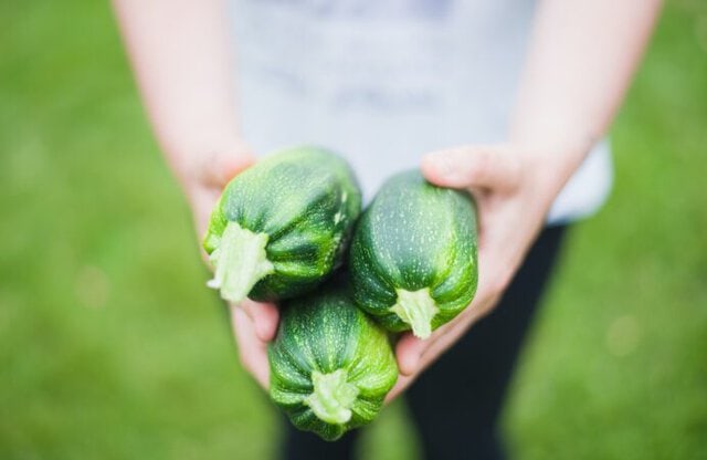 Growing your own vegetables to save money on necessities