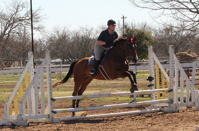 12160893424_f26fa605fd_z