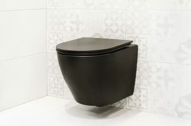 wall mounted toilet installation