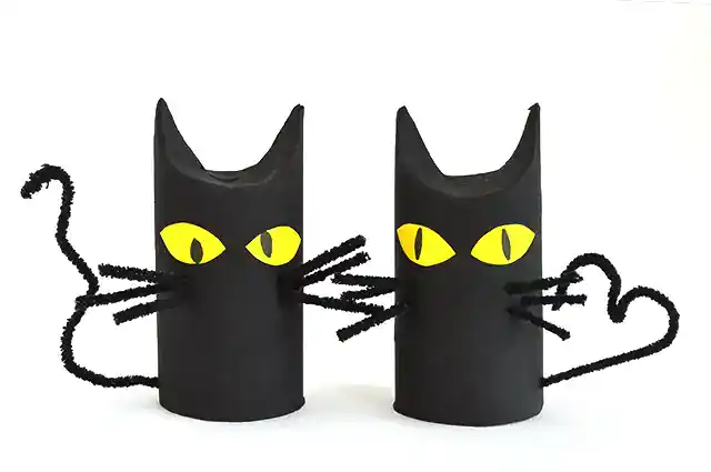 black cat toilet paper roll