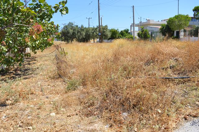 Anavyssos building plot