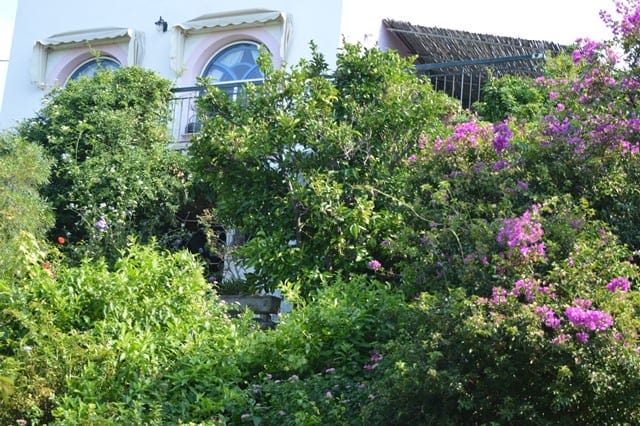 Karystos old stone house
