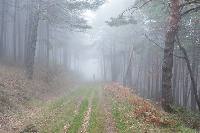 Fotografía en Miraflores de la Sierra