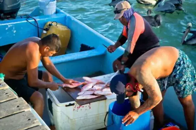 Inicios de la pesca en puerto morelos