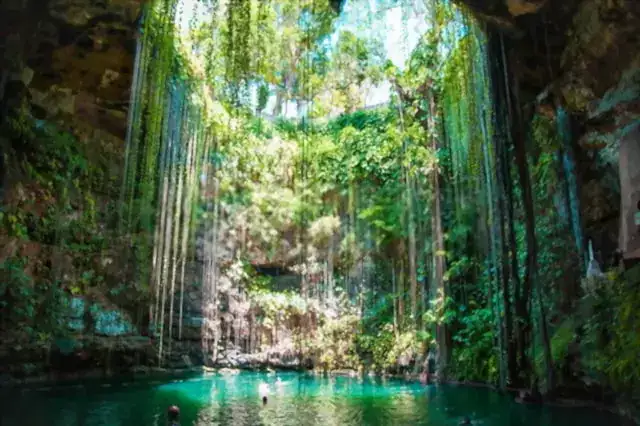 cenotes de agua dulce en toda la peninsula de yucatan