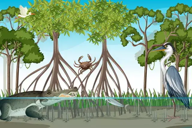 animales que viven en manglar