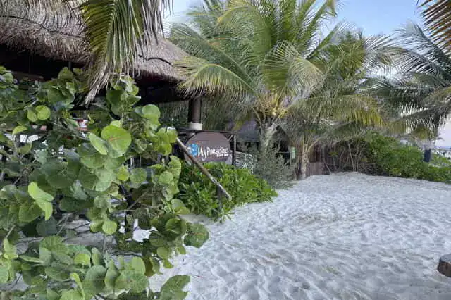 My paradise beach club