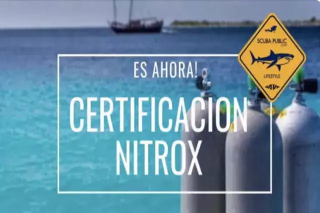 paquetes para aprender buceo