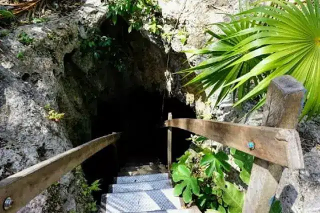 Entrada a las cuevas del cenote 7 bocas