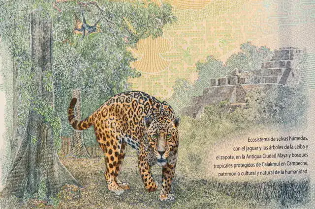 Simbolo maya el jaguar