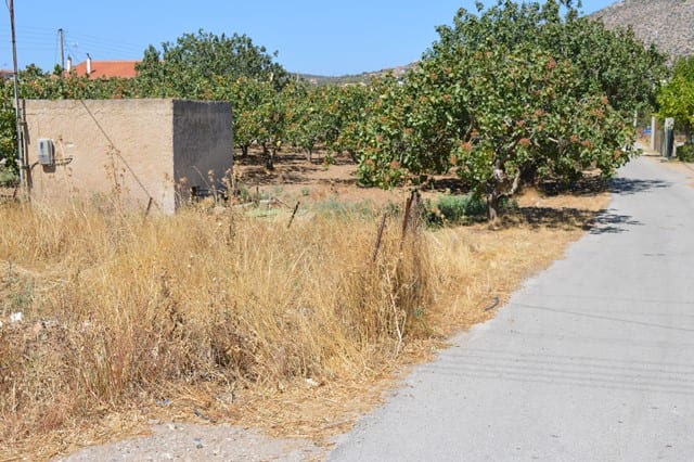 Anavyssos building plot
