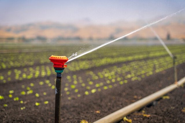 Siccità e innovazione: come l’agricoltura si adatta alla crisi idrica in Lombardia