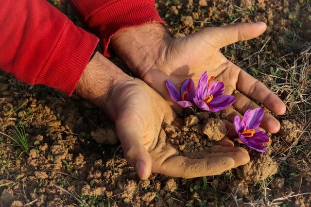 Forestami premiato dalle Nazioni Unite: una bandiera per la biodiversità