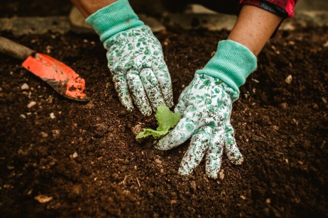 Edilizia e biodiversità: un cambio di rotta urgente