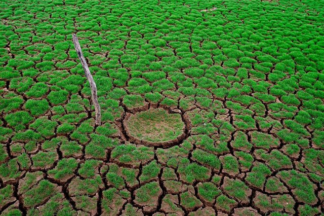 La Siccità Colpisce l’Agricoltura: Conseguenze per l’Economia Lombarda