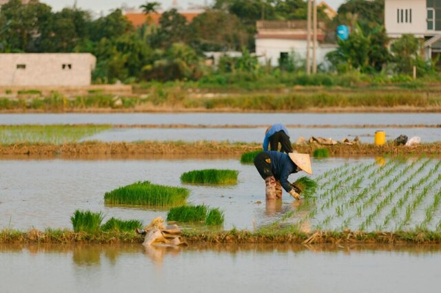 Lombardia e Kenya: un ponte per l’agricoltura sostenibile
