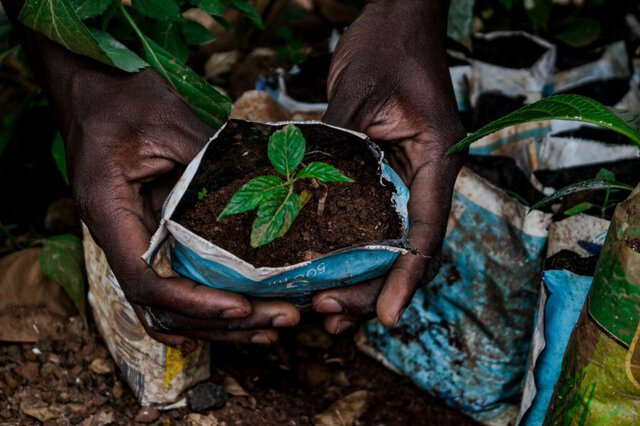 Record di consumi elettrici e attenzione alla biodiversità